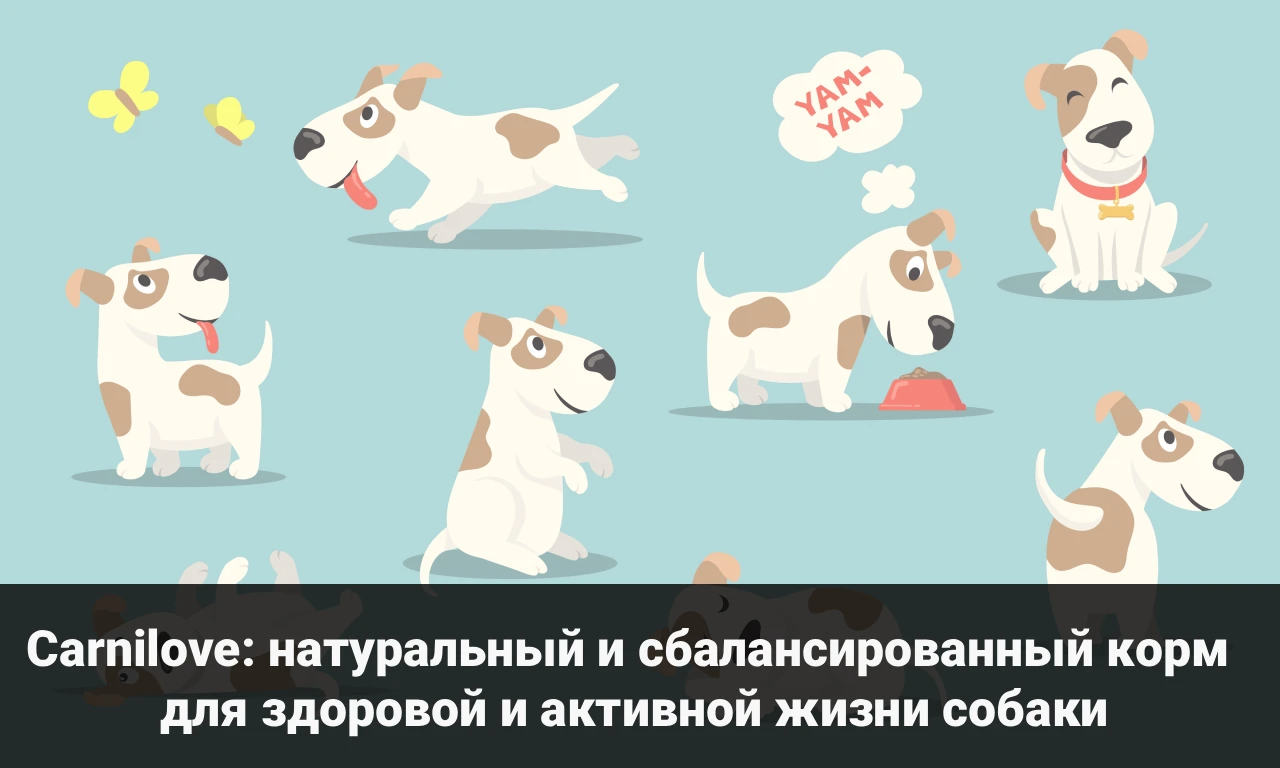 Carnilove: натуральный и сбалансированный корм для собак